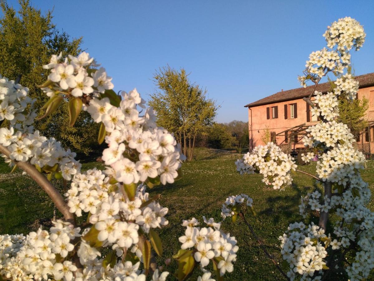 Agriturismo La Lenticchia فراتّا تيرمي المظهر الخارجي الصورة