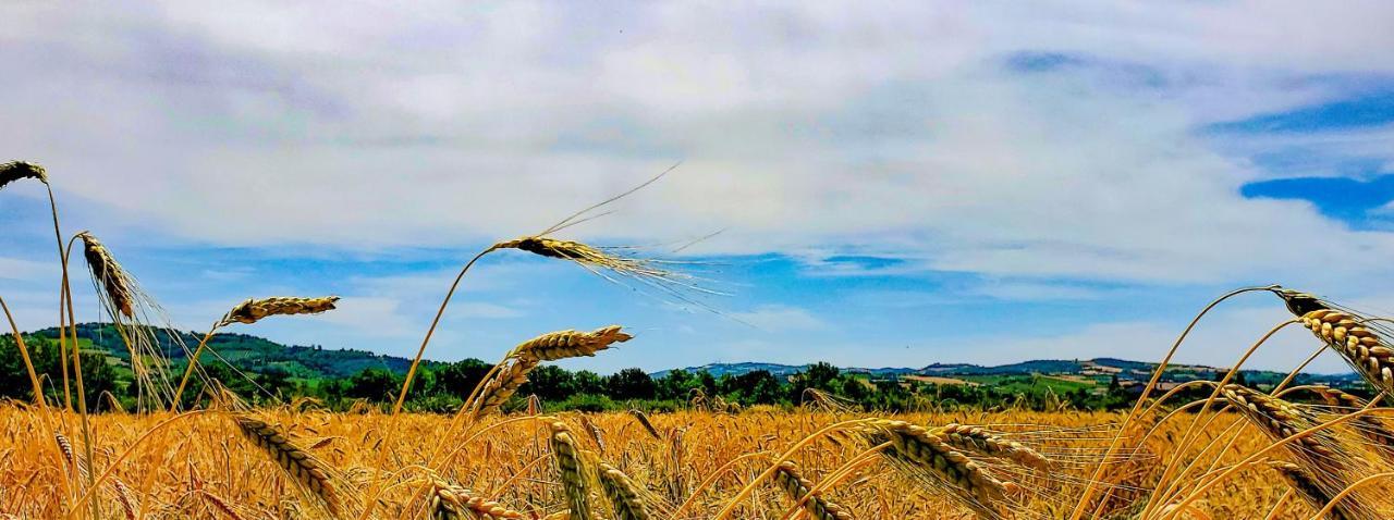 Agriturismo La Lenticchia فراتّا تيرمي المظهر الخارجي الصورة