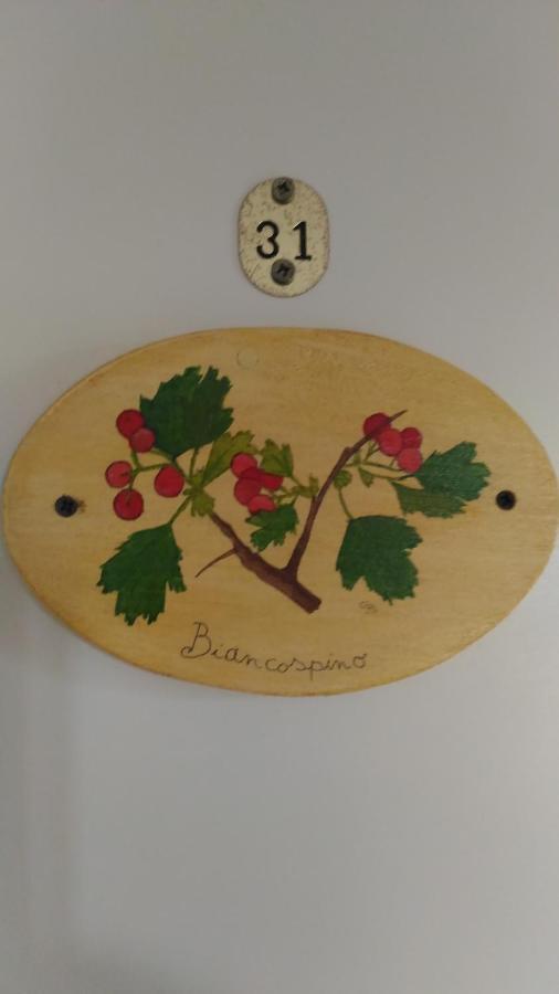 Agriturismo La Lenticchia فراتّا تيرمي المظهر الخارجي الصورة