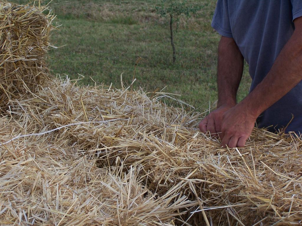 Agriturismo La Lenticchia فراتّا تيرمي المظهر الخارجي الصورة