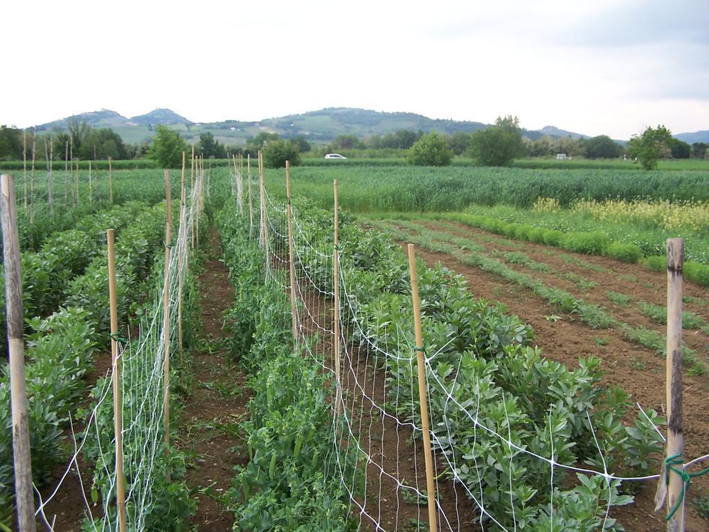 Agriturismo La Lenticchia فراتّا تيرمي المظهر الخارجي الصورة